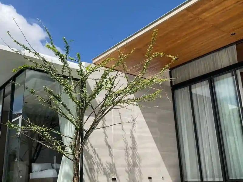 Wintery By Season Luxury Villas