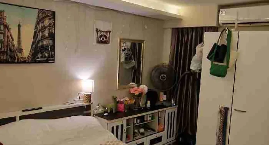 Studio (22 m²)