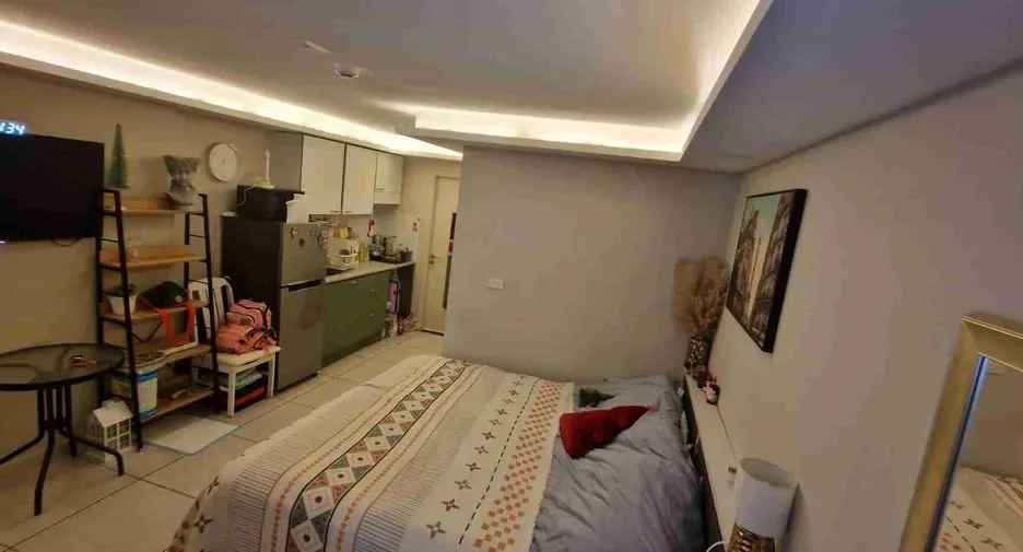 Studio (22 m²)