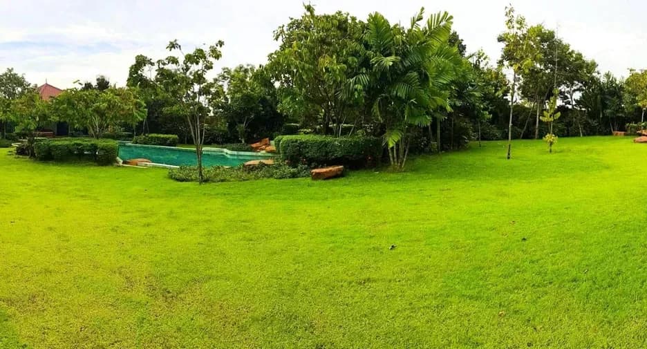 Baan Balina 4